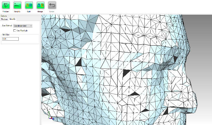 Image of highly simplified body using Grid Method