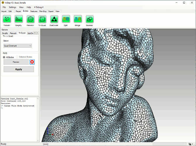 Image of quad dominant mesh