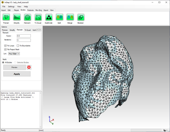 Remeshed Surface Body